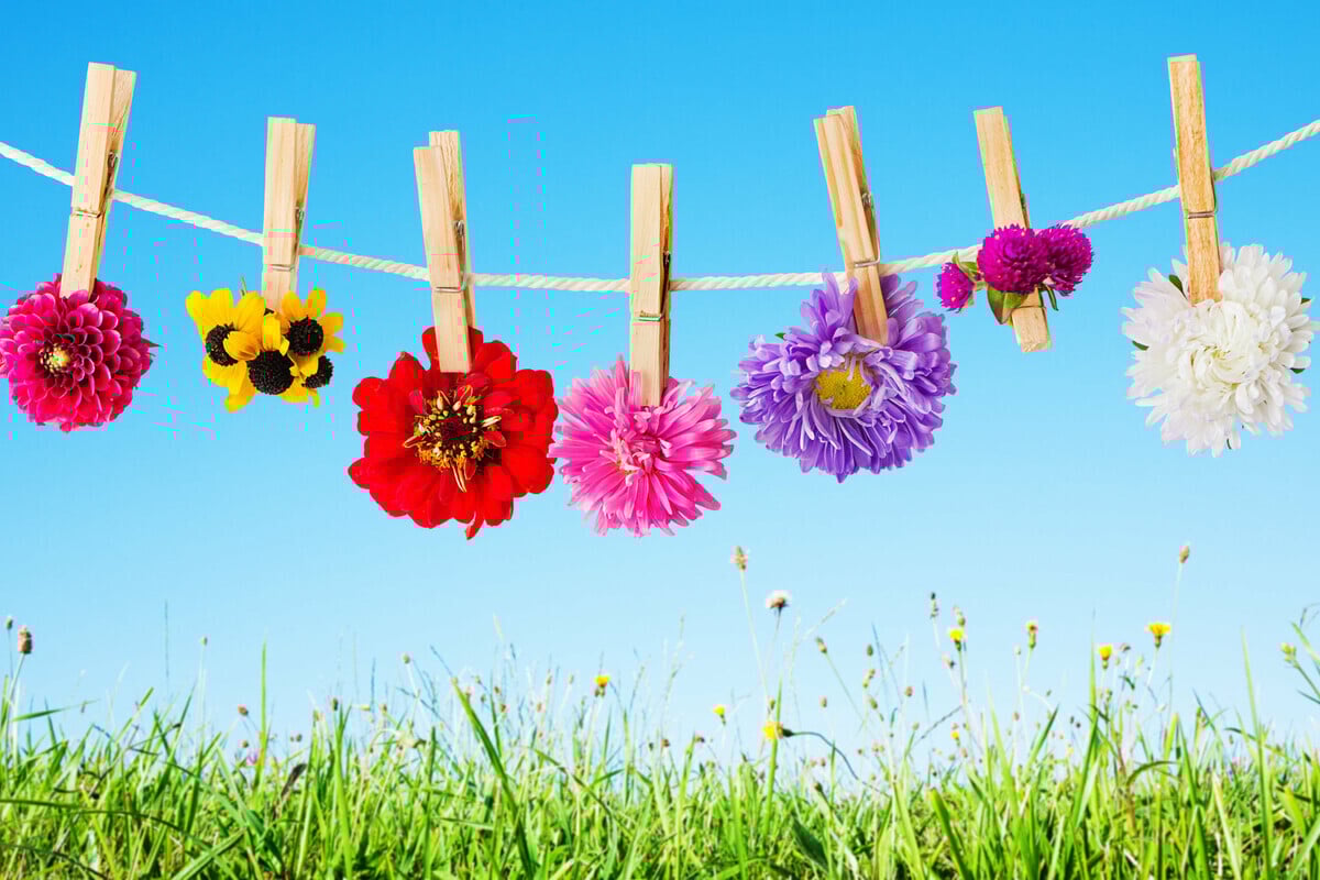 Horoskop heute: Tageshoroskop kostenlos für den 9.4.2026