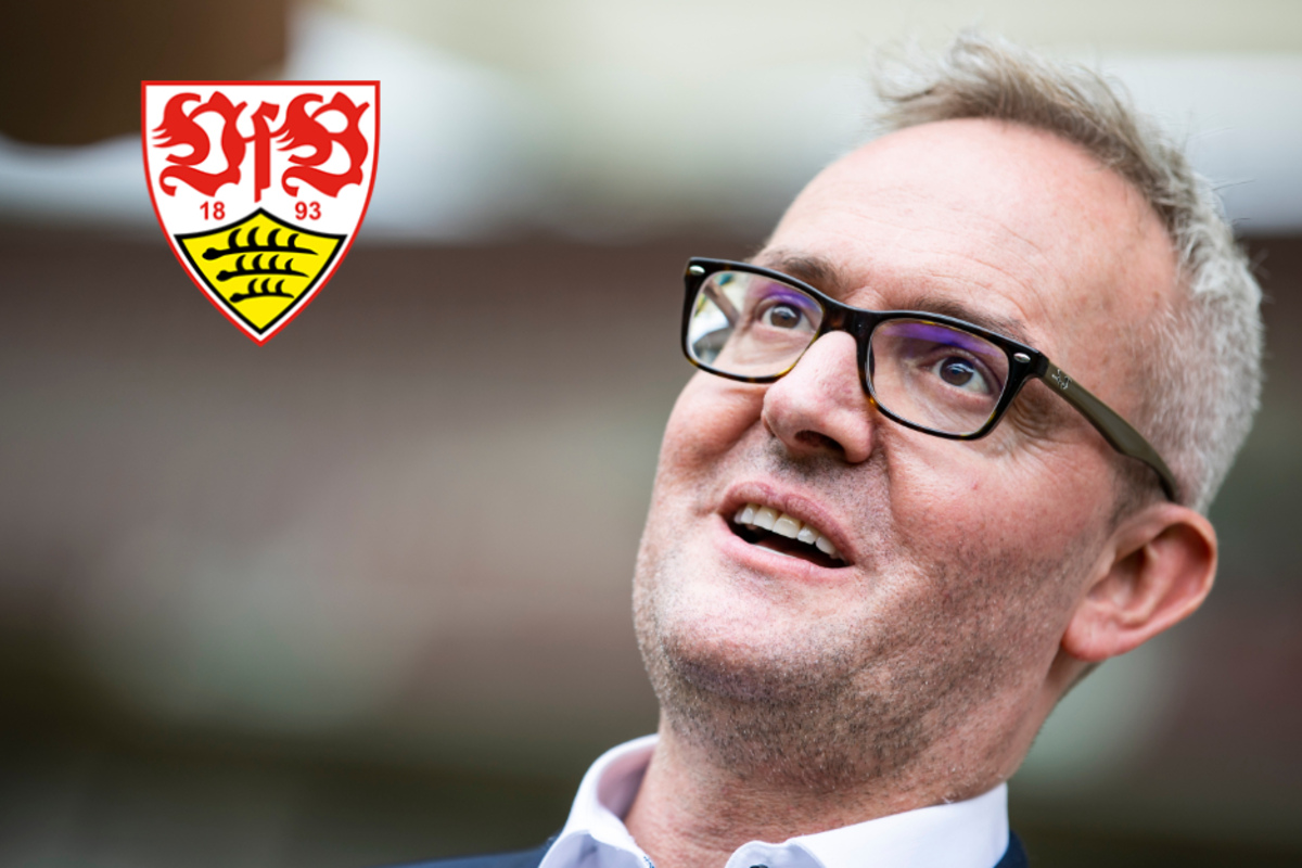 Geldstrafe Wegen Platzsturms Geht VfB Vor Das DFB Bundesgericht 