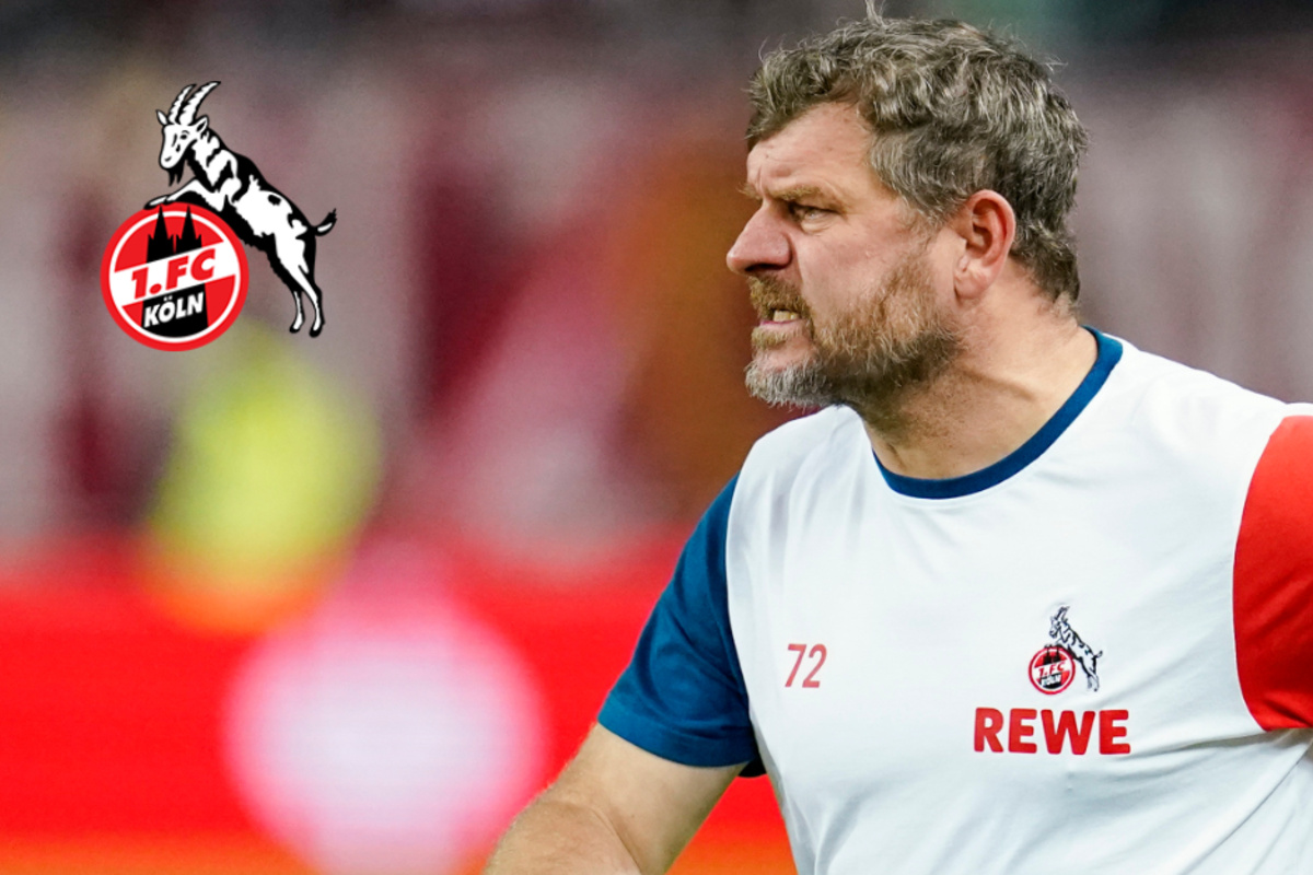 Nach Aus Beim 1. FC Köln: So Viel Kohle Kassierte Neu-HSV-Coach Steffen ...