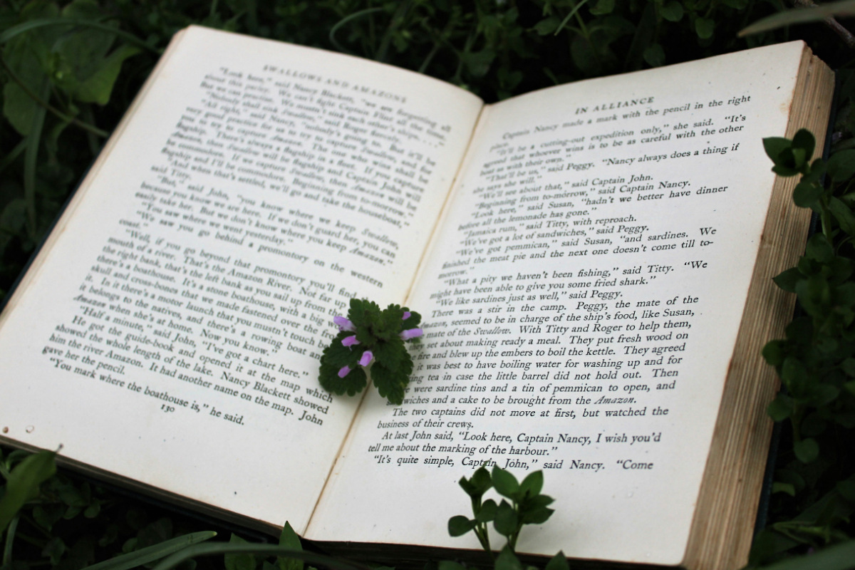 Book Release Radar Most anticipated reads of January 2025