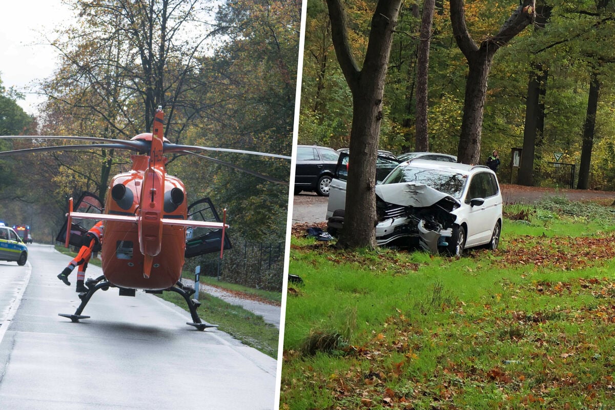 36 Jährige Rast Frontal Gegen Baum Säugling Bei Unfall Schwer Verletzt 9793