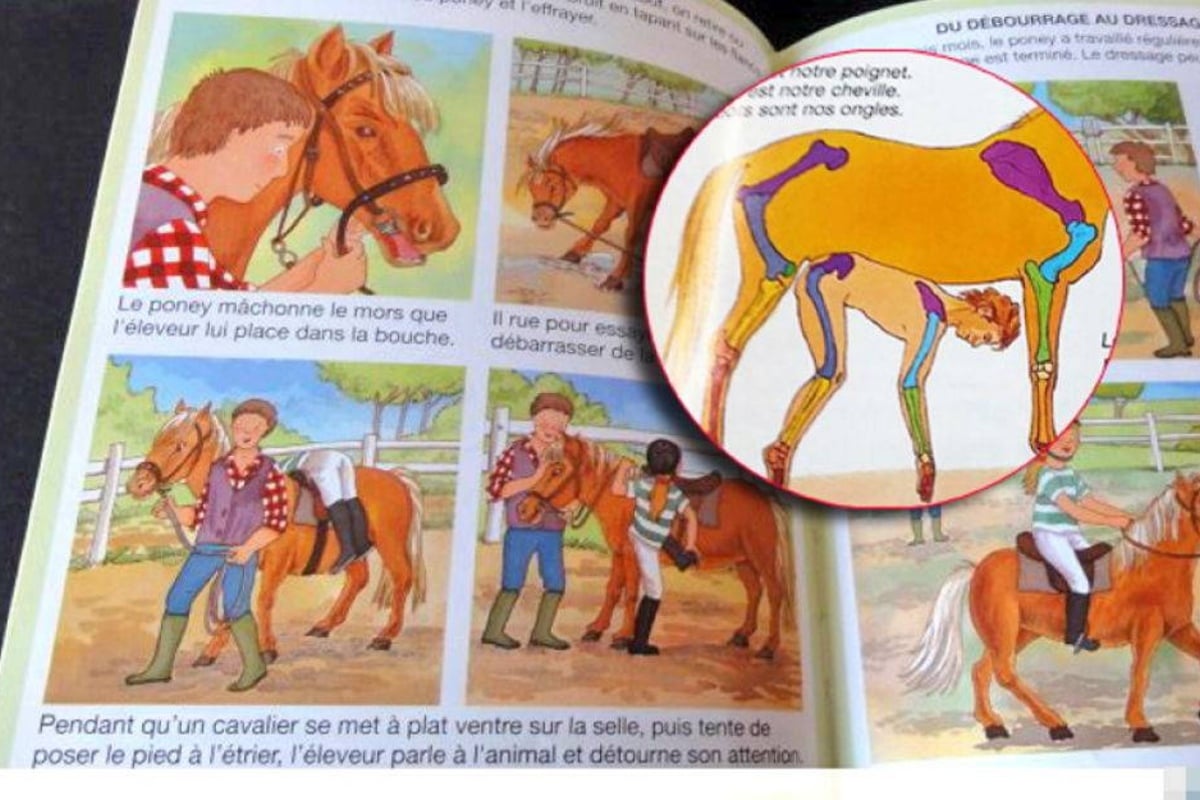 Mit pferden sex haben 
