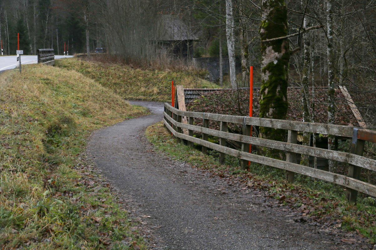 Babyleiche in Wald in Bayern entdeckt! Säugling wurde getötet, Polizei  bittet um Hilfe