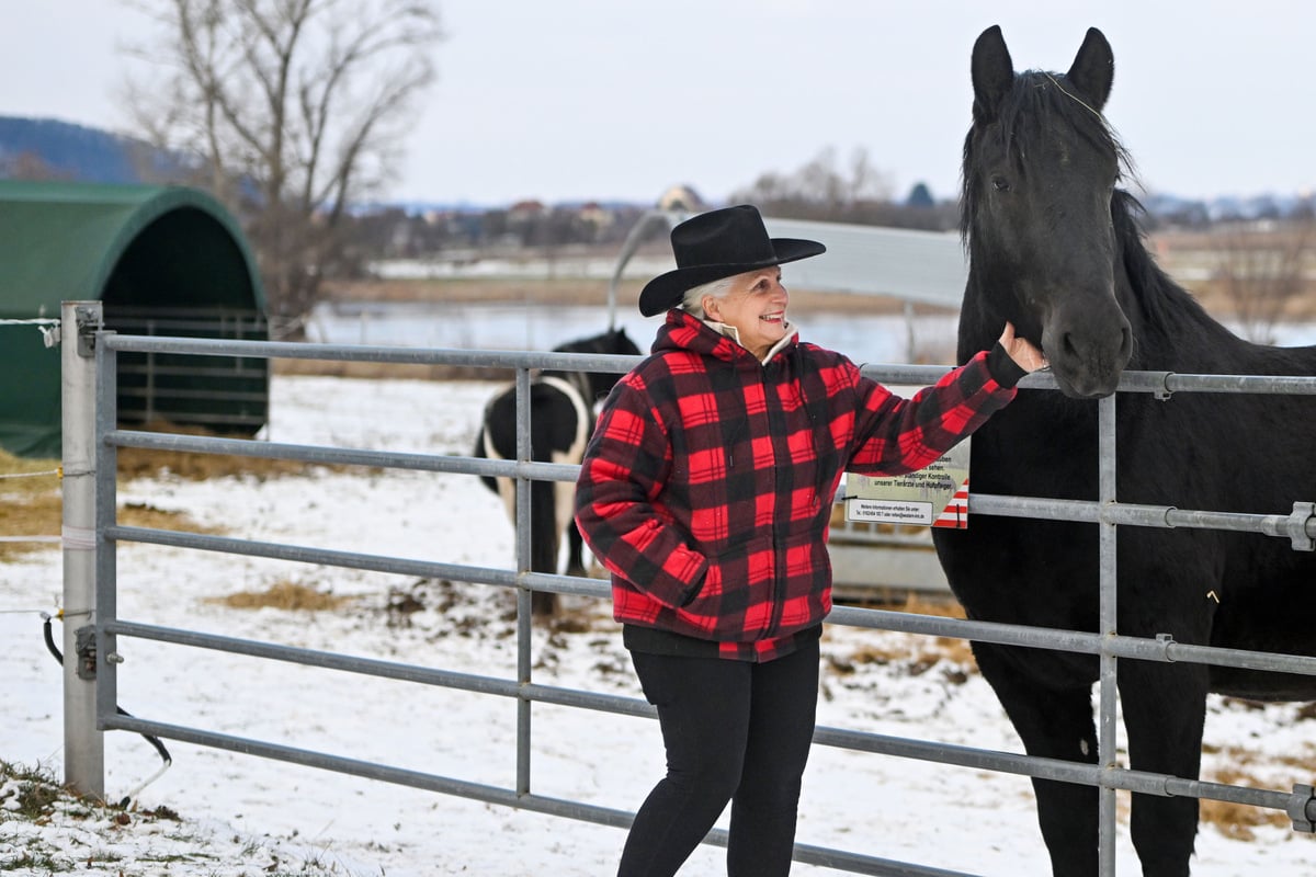 Verein-mit-Herz-bewahrt-Pferde-vor-dem-Schlachter