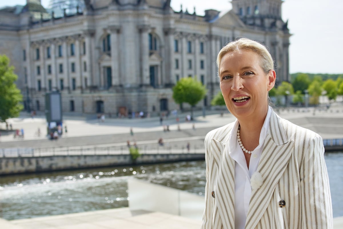 Erst-Weidel-jetzt-der-Gr-nen-Co-Wieder-St-r-Aktion-beim-ARD-Sommerinterview-geplant
