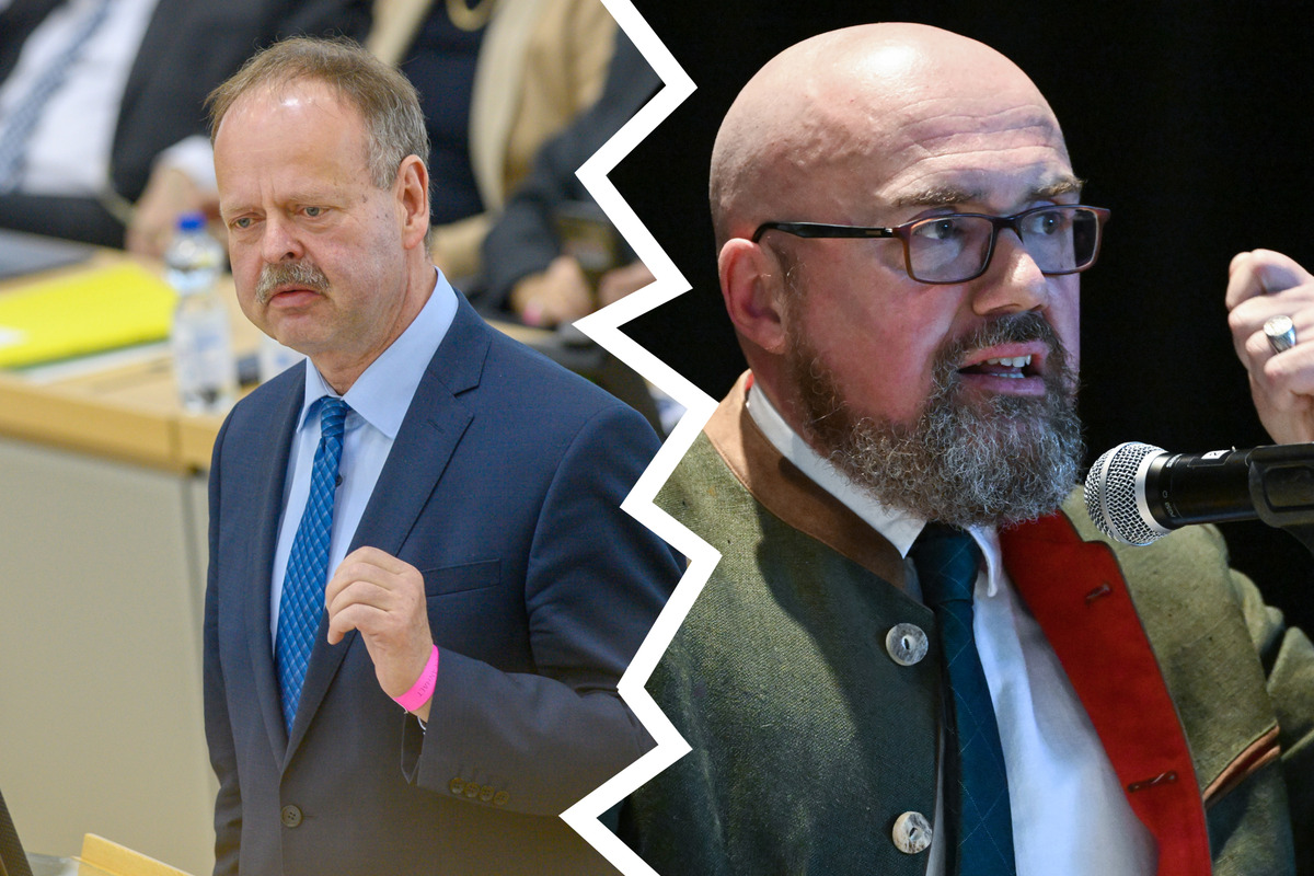 Ausschluss Von Oberbürgermeister Wahl Afd Politiker Macht Ernst Klage Gegen Stadt Ludwigshafen - 86ictyu