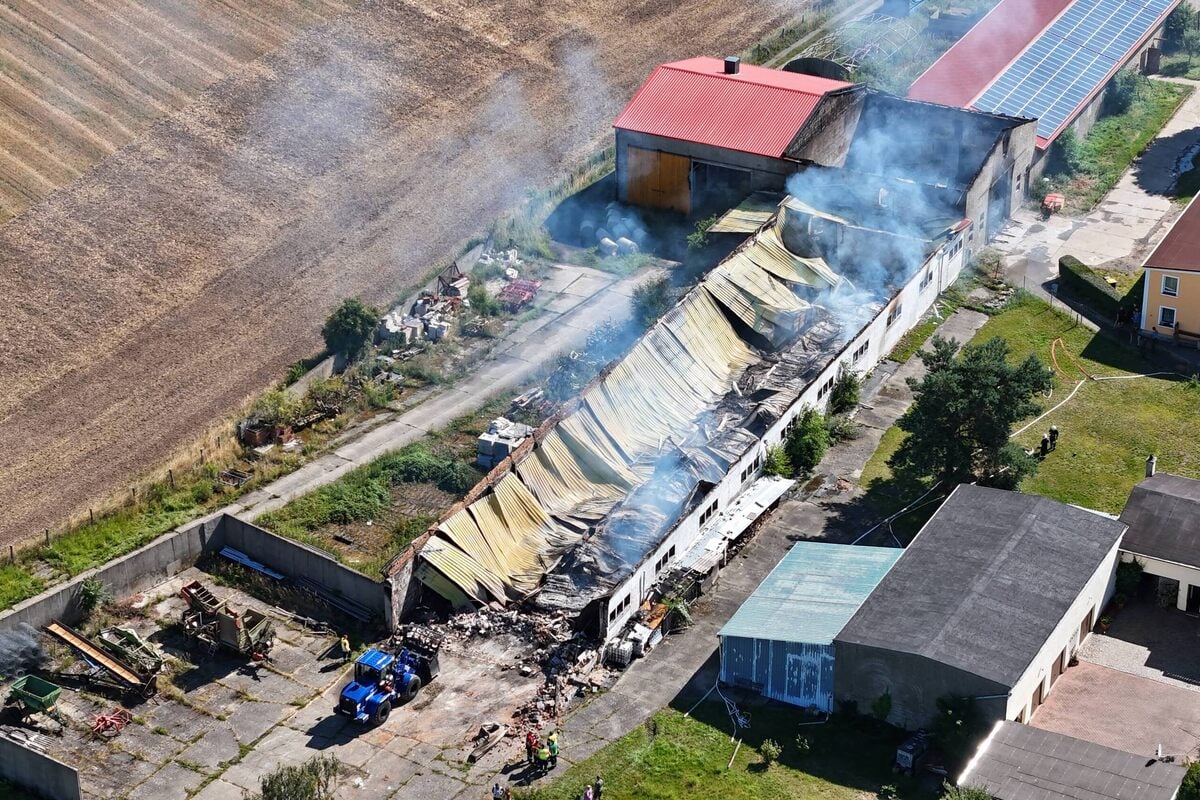 Lagerhalle in Nordsachsen durch verheerendes Feuer zerstört