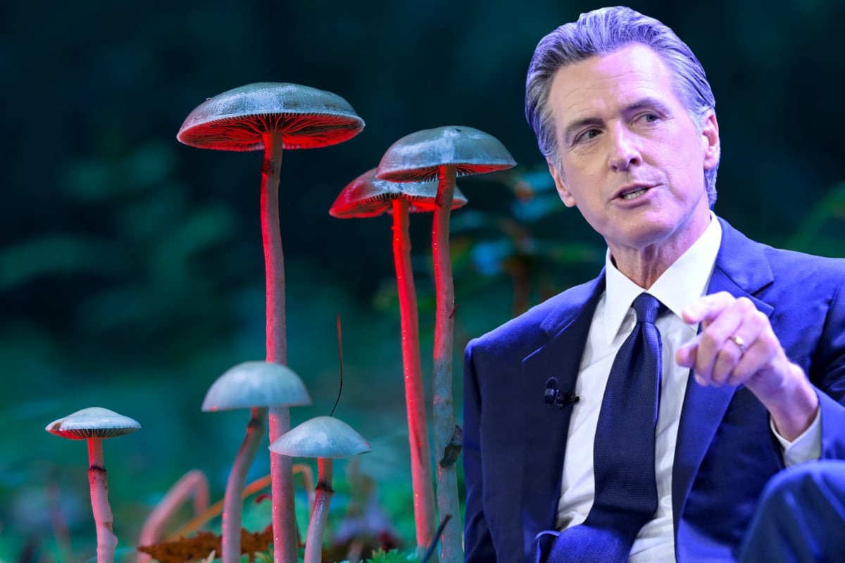 California Governor Gavin Newsom Vetoes Bill To Decriminalize Psychedelics