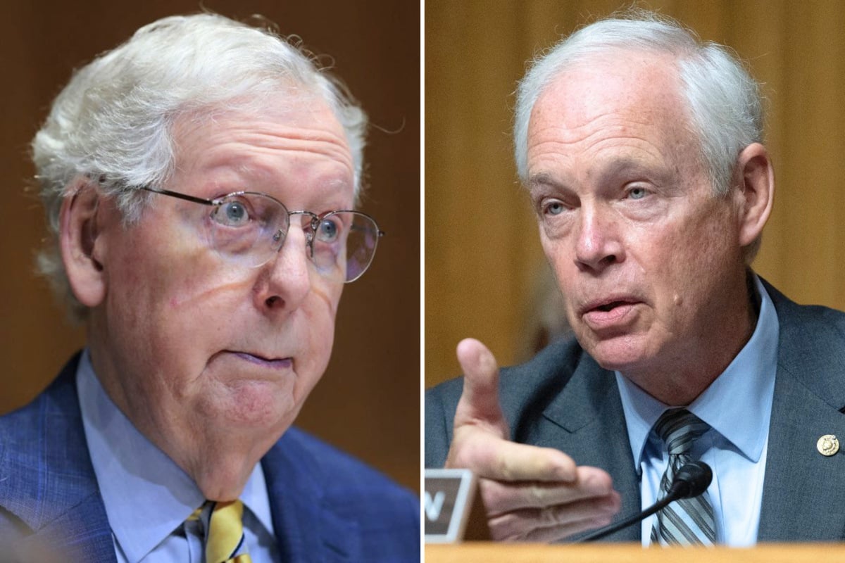 Senator Ron Johnson sows doubt about Mitch McConnell's health update photo