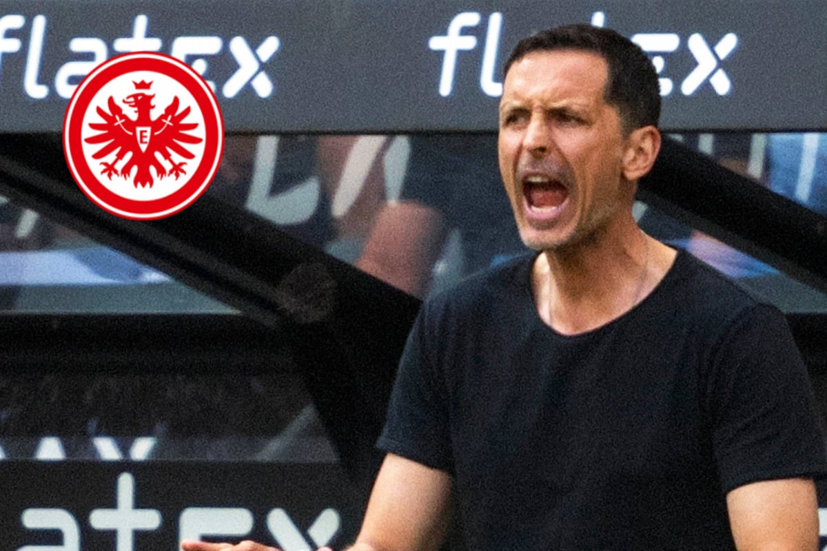 Dino Toppmöller vor Absprung? Eintracht-Coach soll Top-Angebot vorliegen haben!