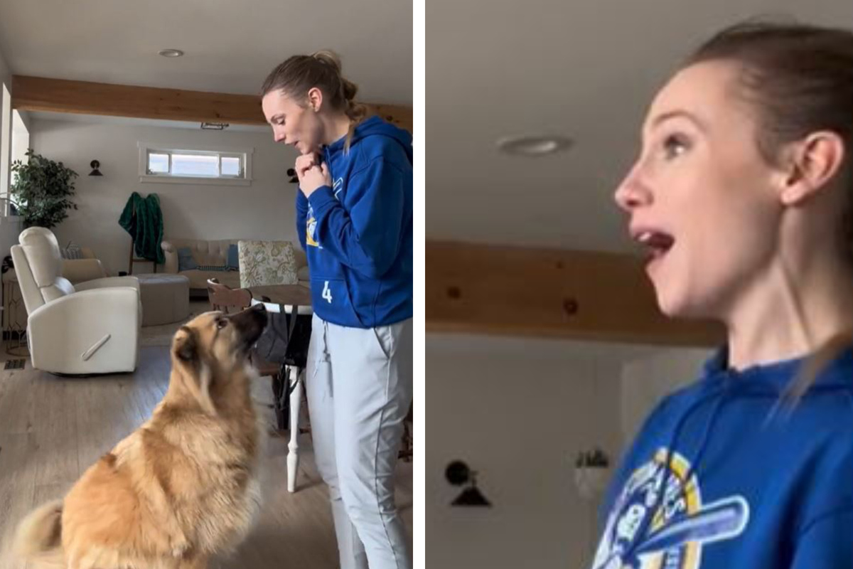 Frau will ihren Gesang aufnehmen: Doch was ihr Hund dann tut, lenkt alle Blicke auf ihn