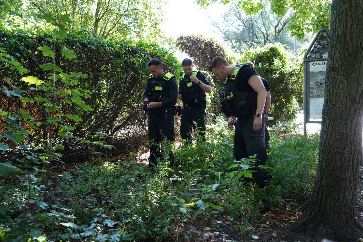 Frauenleiche-aus-dem-Volkspark-Humboldthain-Das-ist-der-aktuelle-Stand
