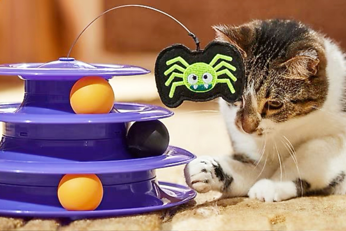 Wow! Chewy's new pet items for Halloween are super cute - TAG24