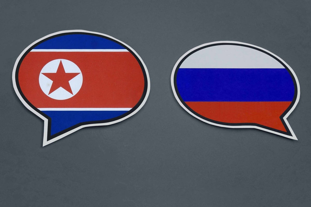 Is North Korea Supplying Weapons To Russia In Secret Talks?