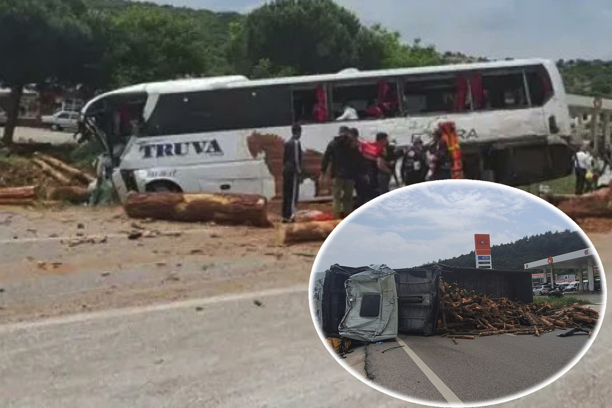 Reisebus-kracht-in-Laster-voller-Baumst-mme-Mehrere-Tote