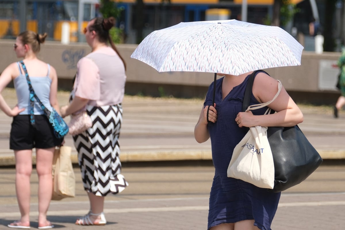 40-3-Grad-Dieser-Ort-in-Sachsen-vermeldet-einen-Temperaturrekord