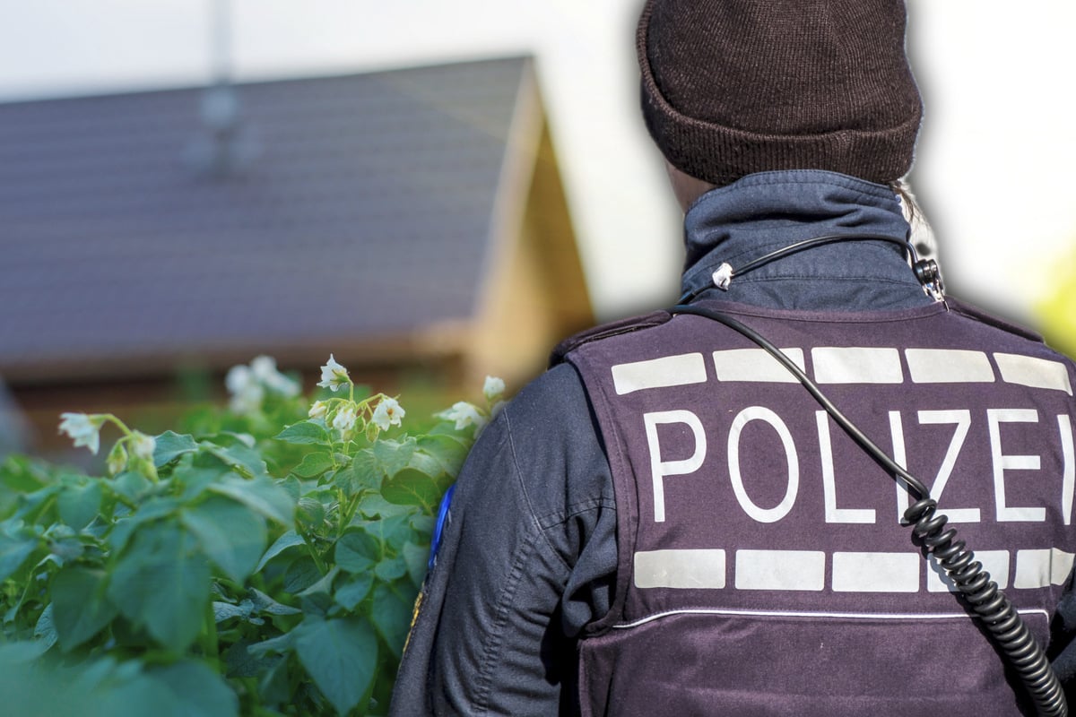 Polizei verhindert rechtsextremistisches Event in Dresdner Gartenanlage