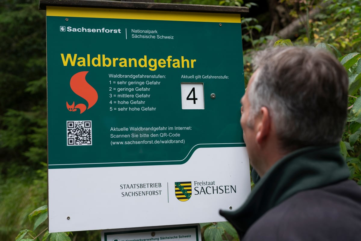 Kein-Regen-in-Sicht-Waldbrandgefahr-in-Sachsen-steigt