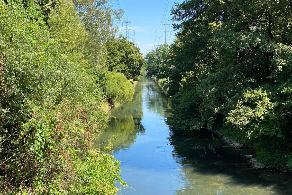Junge-2-verschwindet-nach-Spaziergang-Sp-ter-taucht-seine-Leiche-in-einem-Fluss-auf