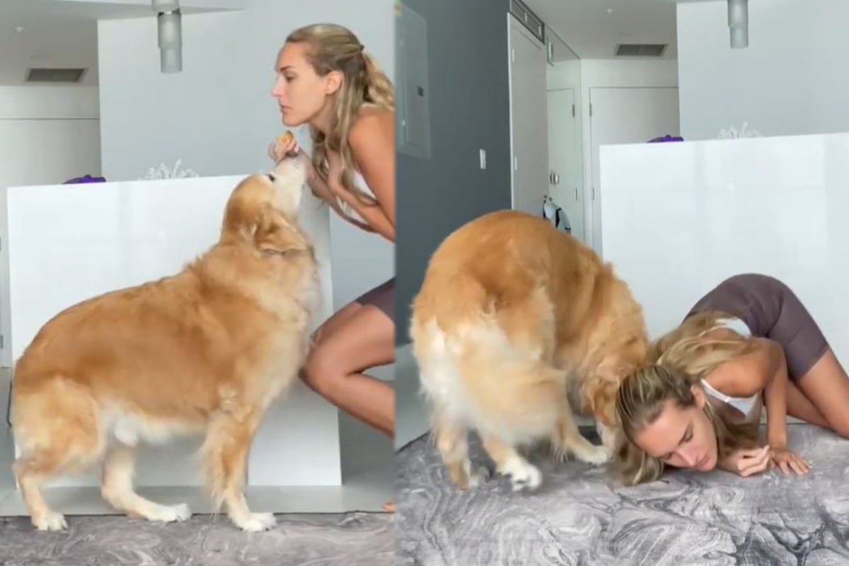 Frau testet, was ihr Hund tut, wenn sie umkippt Reaktion bringt alle