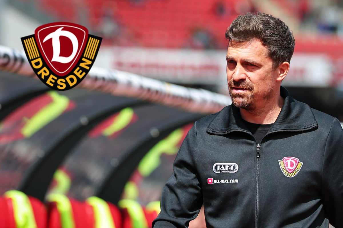 Dynamo plötzlich auf Platz 11: Stamm will sich von Tabelle nicht beeinflussen lassen