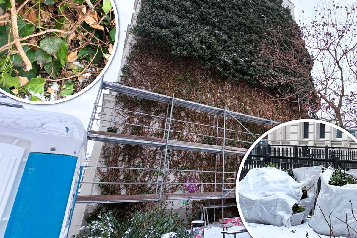 -Anzeige-ist-raus-Leipzigs-lteste-Fassadenbegr-nung-meterhoch-zerst-rt