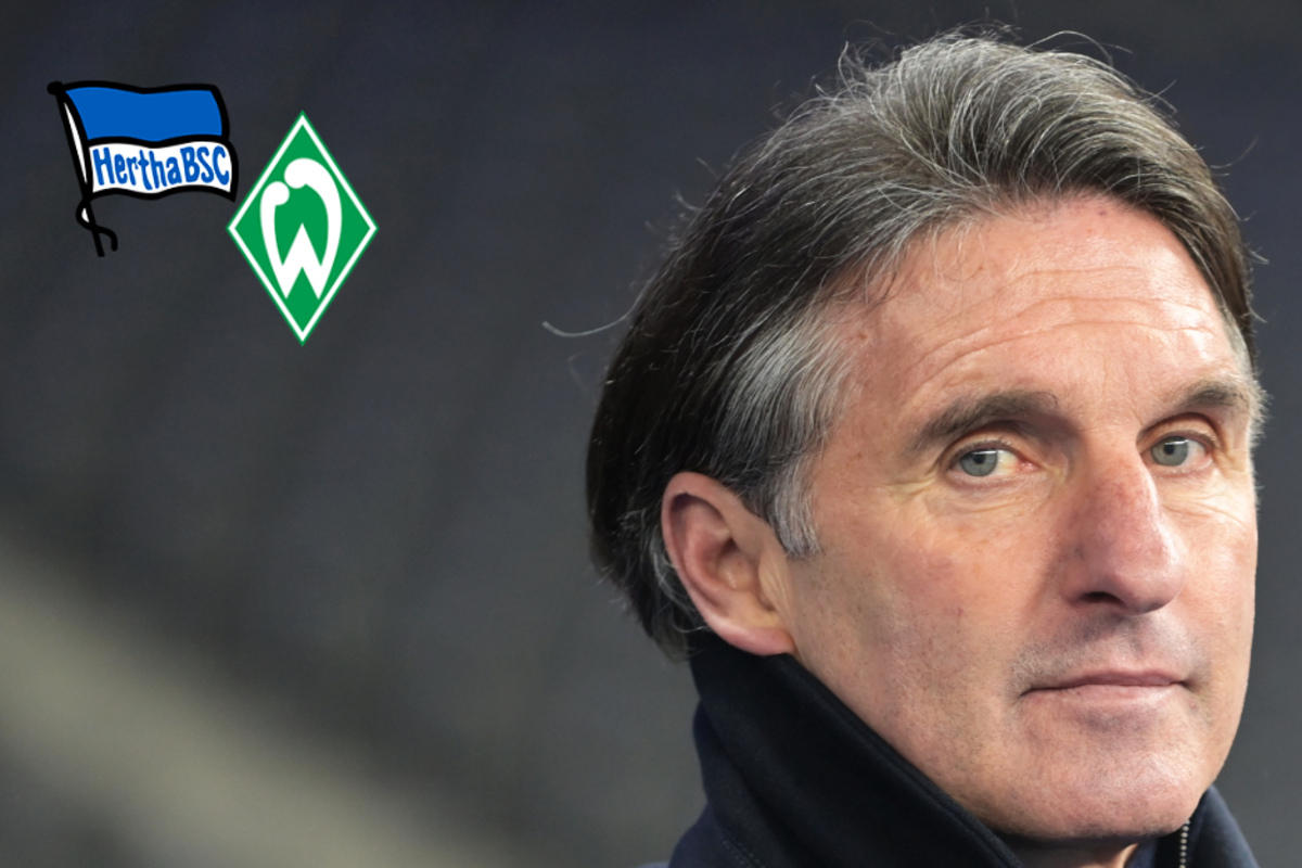 Hertha-Coach Labbadia vor dem Aus? Alte Dame kassiert klare Heimpleite gegen Bremen!
