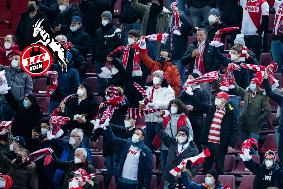 Third largest club in the Bundesliga hit: 1. FC Köln asks fans for financial help