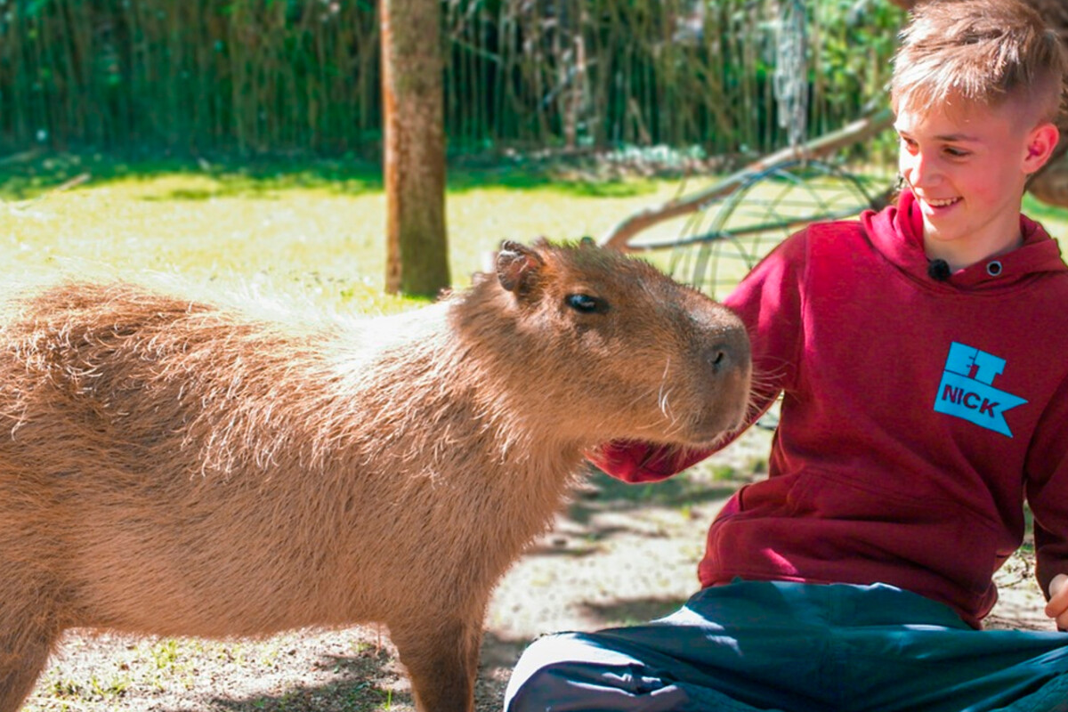 Wer will Praktikant im TV-Zoo werden?