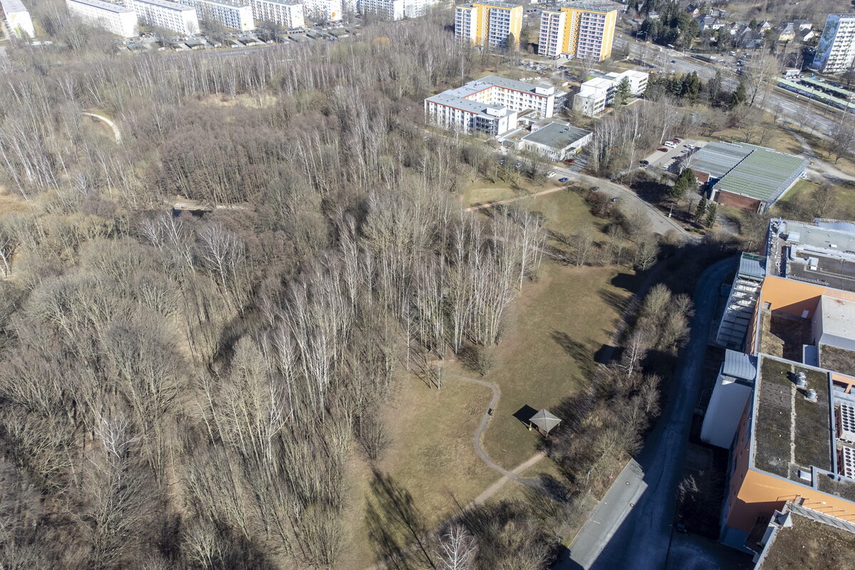Chemnitz Neue Ideen für den Park in der