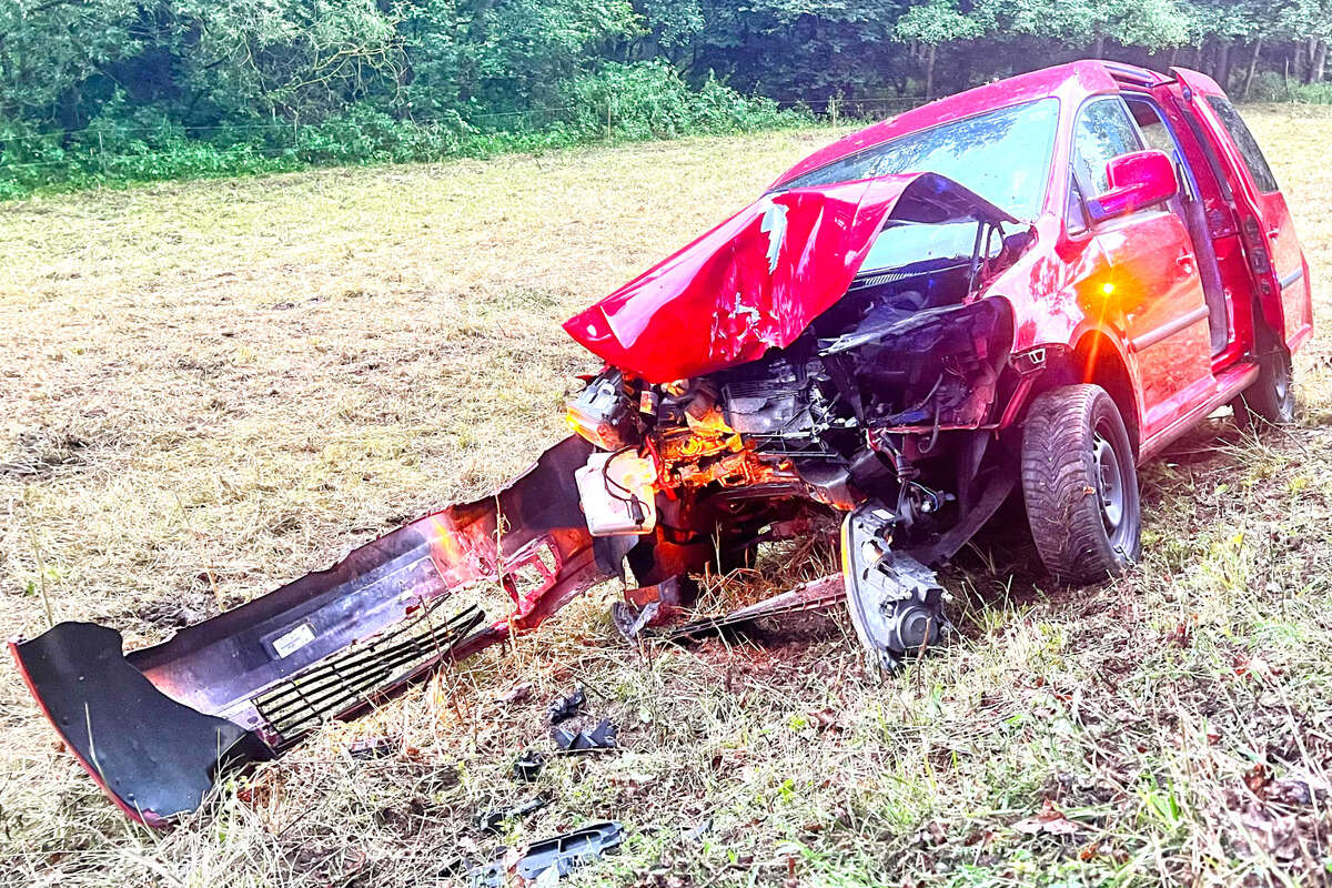 Reh springt vor Auto: VW-Fahrerin knallt im Vogtland gegen Baum