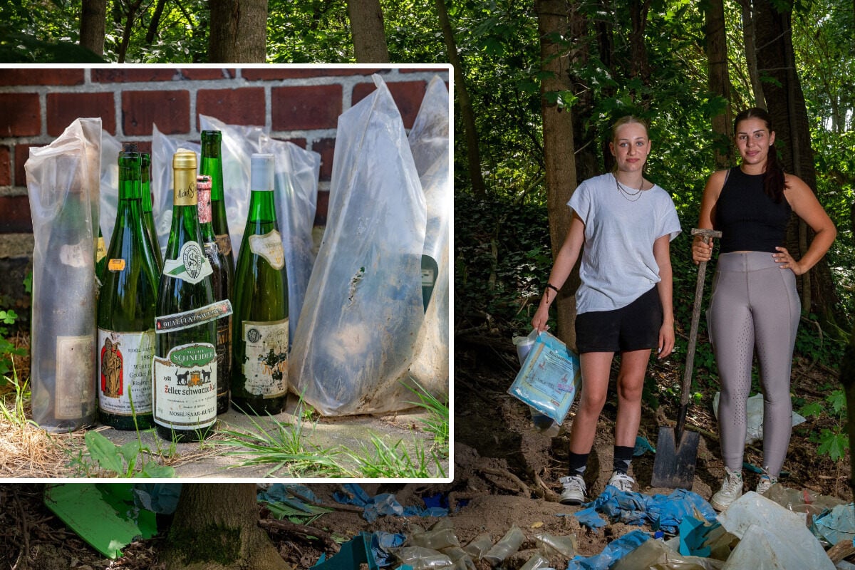 Flaschen nach Jahrzehnten aufgetaucht: Woher stammt der Weinschatz aus dem Wald?