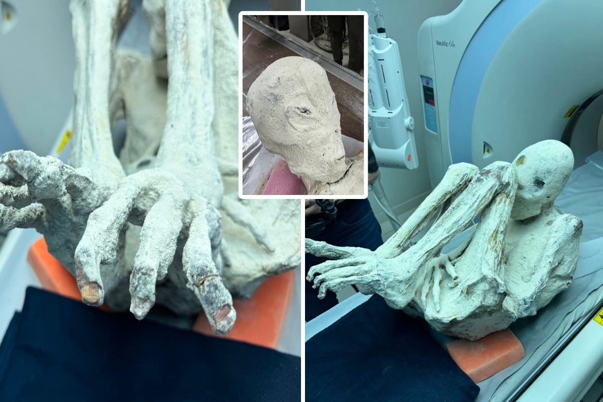 Mysteriöse "Alien-Mumien" aus Peru: Experten präsentieren neue Erkenntnisse
