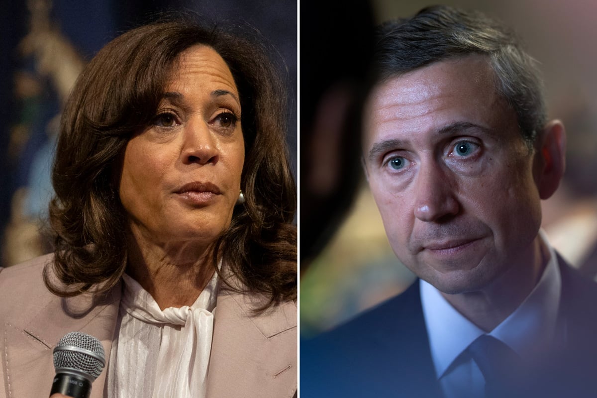 DNC finally releases 2024 election autopsy as chair warns "it won't meet your standards"
