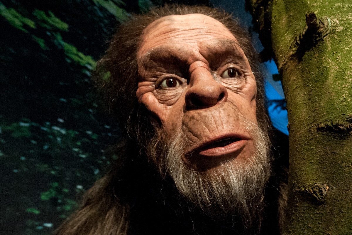 Sucht sich Bigfoot neuen Lebensraum? 