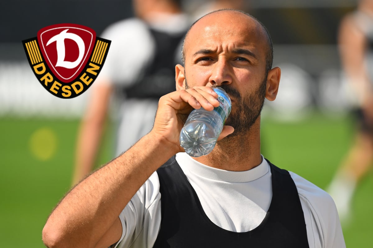 Dynamo-Dresden-Blog: Ex-Dynamo Gogia findet neuen Klub nahe Dresden