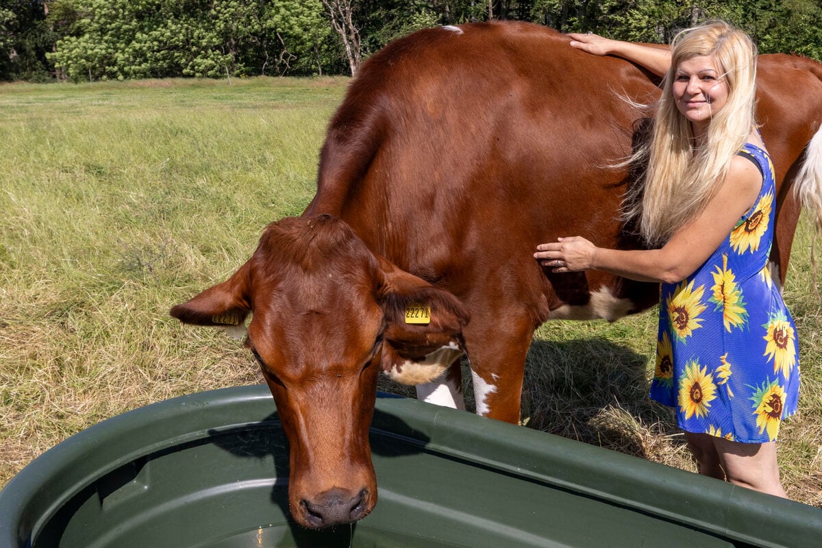 Weide statt Schlachtbank dank üppiger Spenden - Grundschüler helfen den Rinder-Rettern