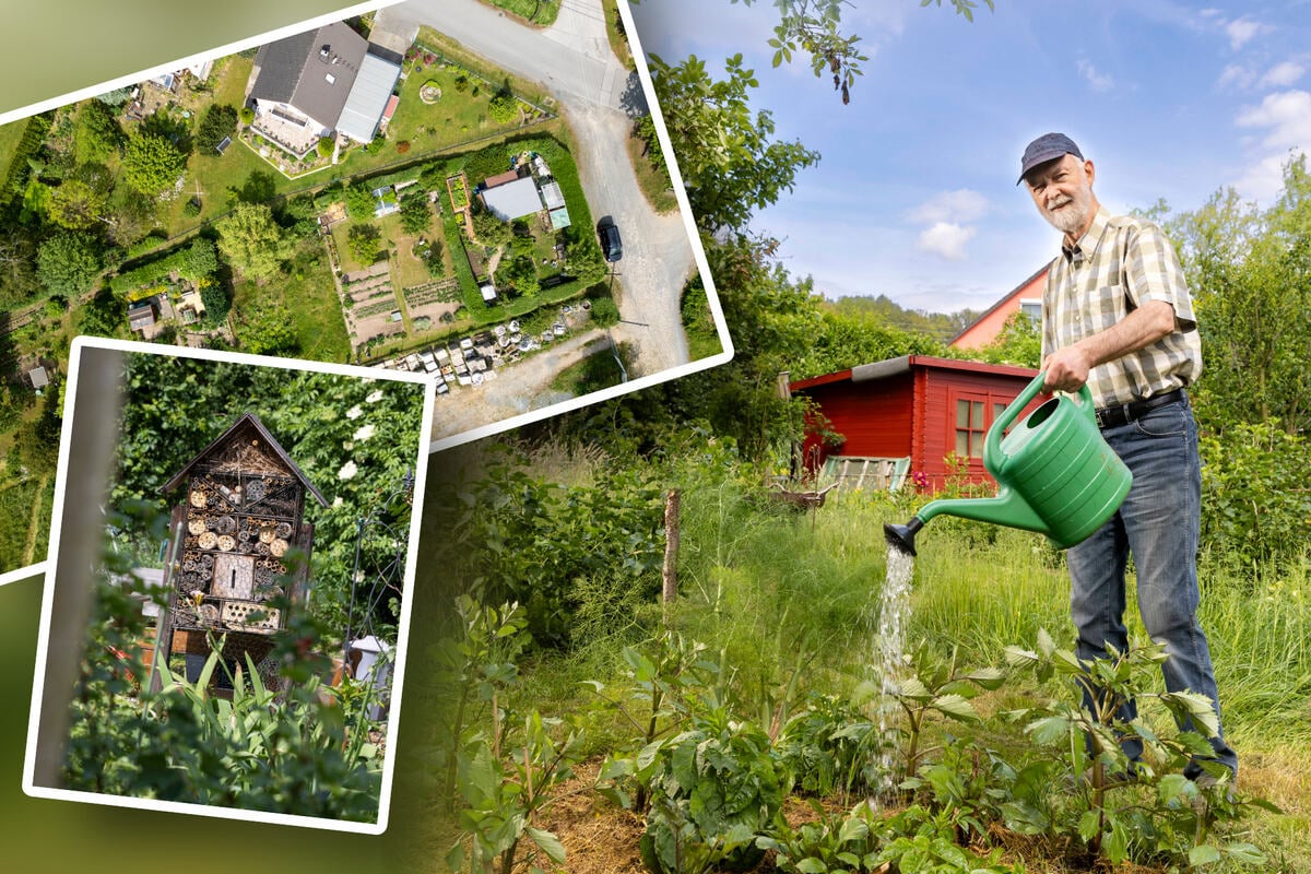 In Sachsens kleinster Gartensparte denkt niemand ans Aufhören