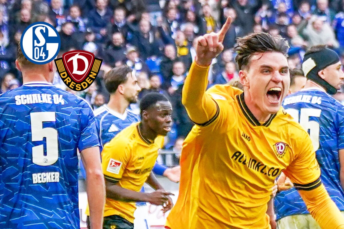 Dynamo-Noten-gegen-Schalke-Viele-gute-Leistungen-aber-einer-sticht-hervor