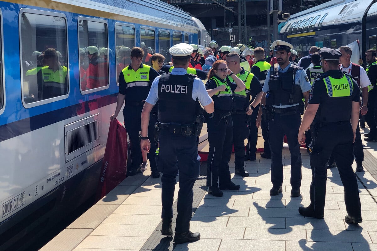 Unfall am Hauptbahnhof! Mann stürzt in Spalt zwischen Zug und Bahnsteig