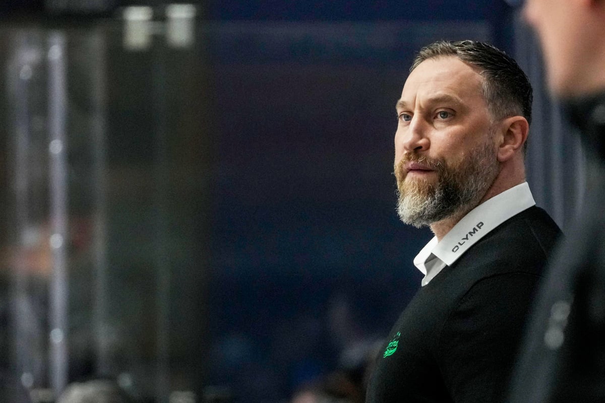 Strafbefehl wegen sexueller Belästigung! DEL2-Klub schmeißt Trainer mitten in den Play-offs raus