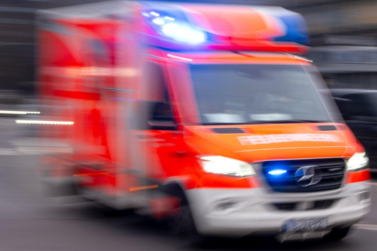 Tragischer Fund Im Stadtparksee! Polizei Hamburg Ermittelt – Leiche Geborgen: Aktuelle Lage! - mdwurzh