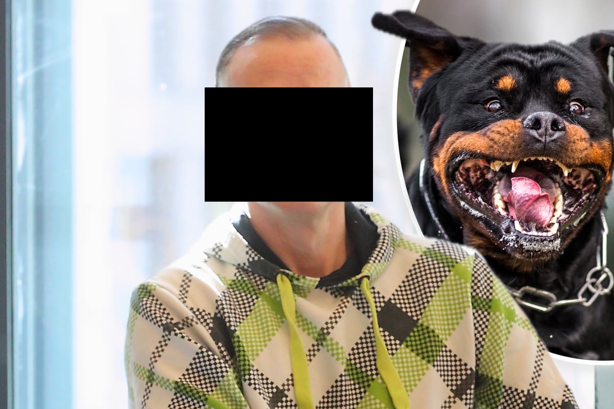 Lange Haft fürs Herrchen, Karriere für den Rottweiler