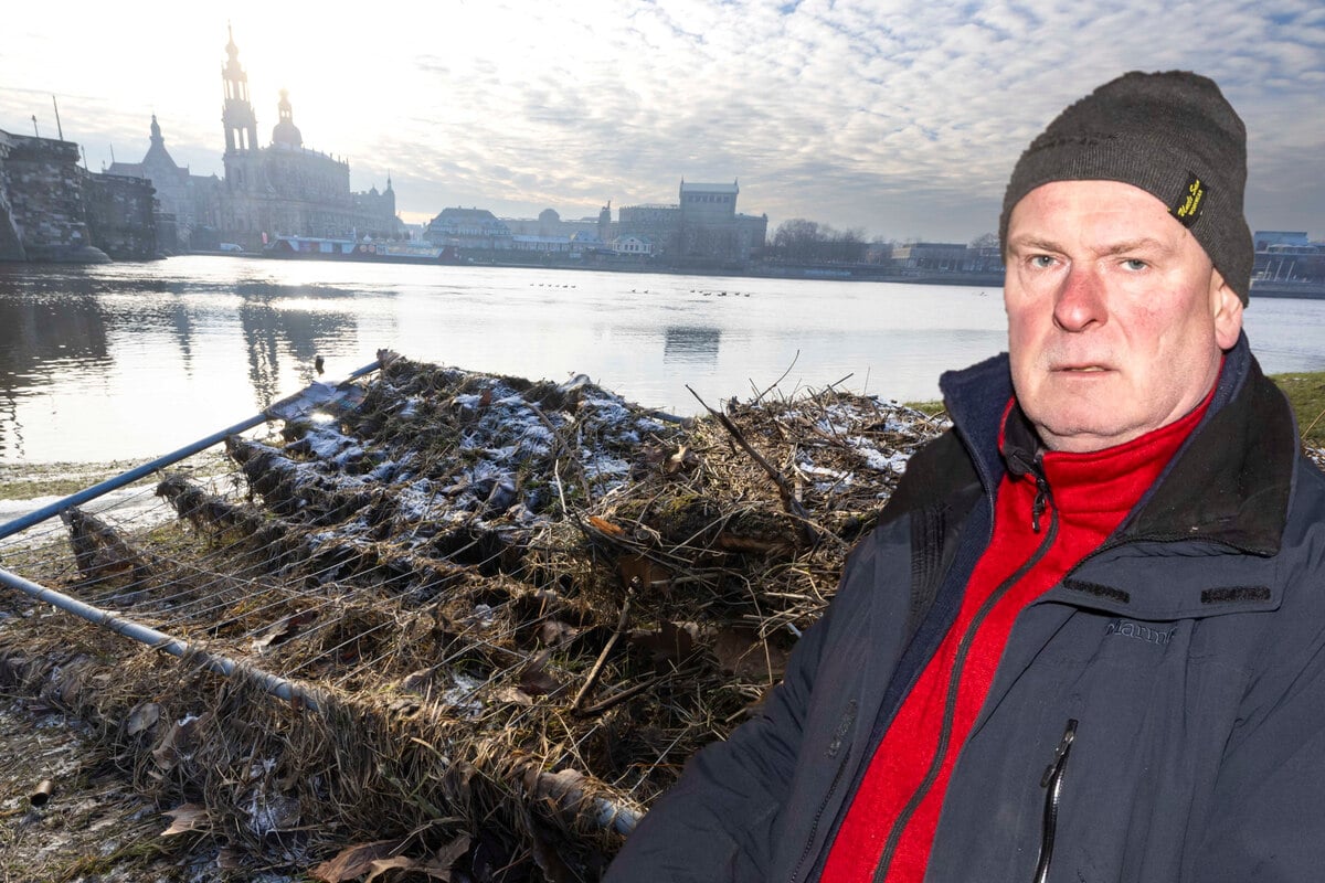 Elbe-Flut weg, Ärger da: Großreinemachen nach Hochwasser offenbart Schäden