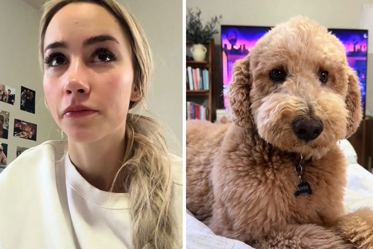 Dog's reaction to owner crying melts hearts on TikTok