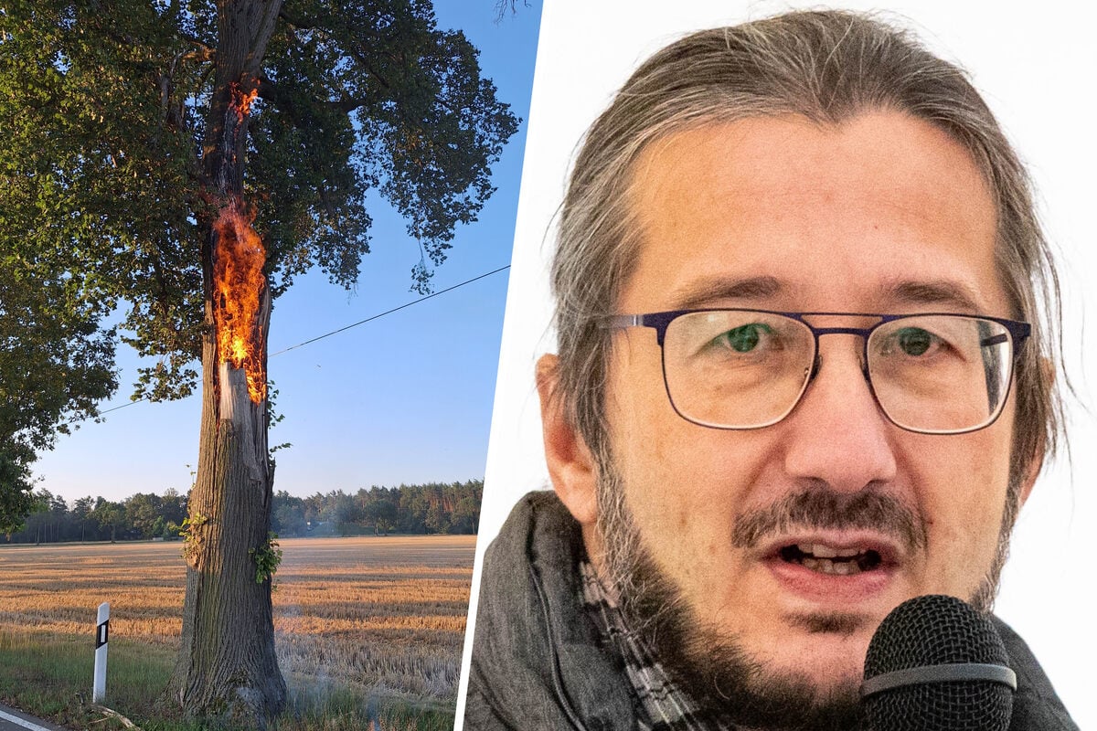 Hohler Stamm angezündet: Feuer-Alarm in der Lindenstraße