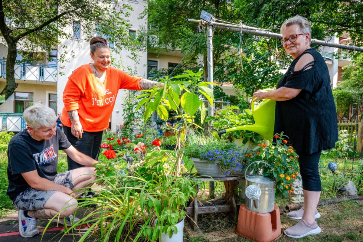 Nachbarschafts-Projekt trägt Früchte: Die grüne Oase vom Chemnitzer Sonnenberg