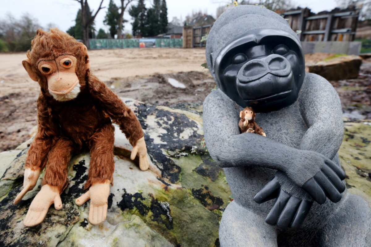 Ein Jahr nach Affenhaus-Brand: Diese Statue soll an die 55 toten Tiere erinnern