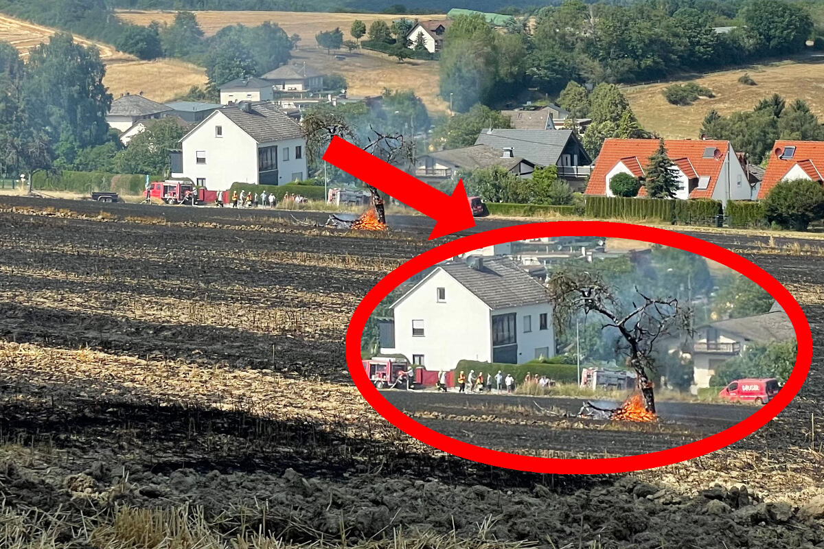 Rettung in höchster Not: Feuerwehr stoppt Flächenbrand Zentimeter vor Wohnhäusern