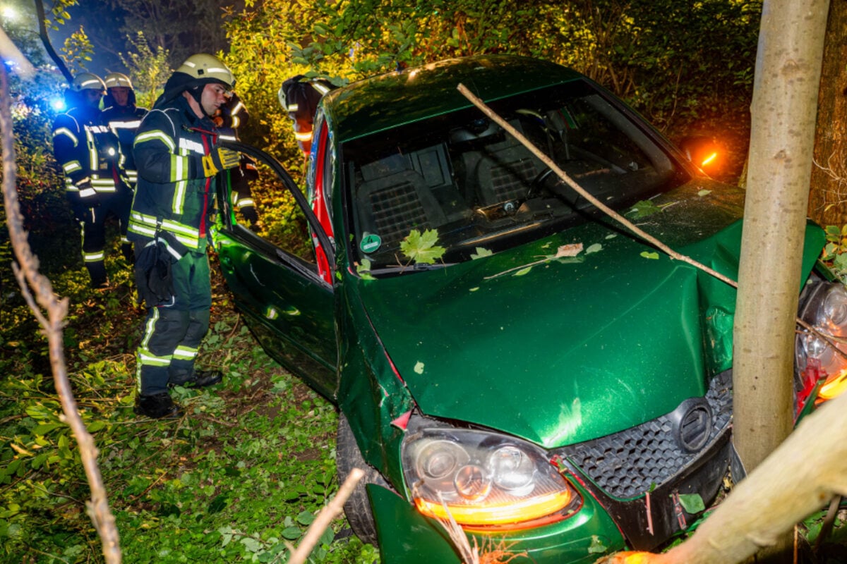 Auto-weicht-Reh-aus-und-st-rzt-B-schung-hinab-Zwei-Personen-schwer-verletzt